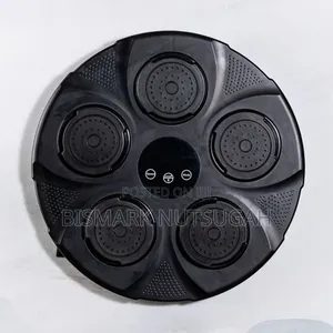 Wall Mounted Electrical Boxing Machine