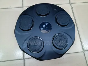 Wall Mounted Electrical Boxing Machine