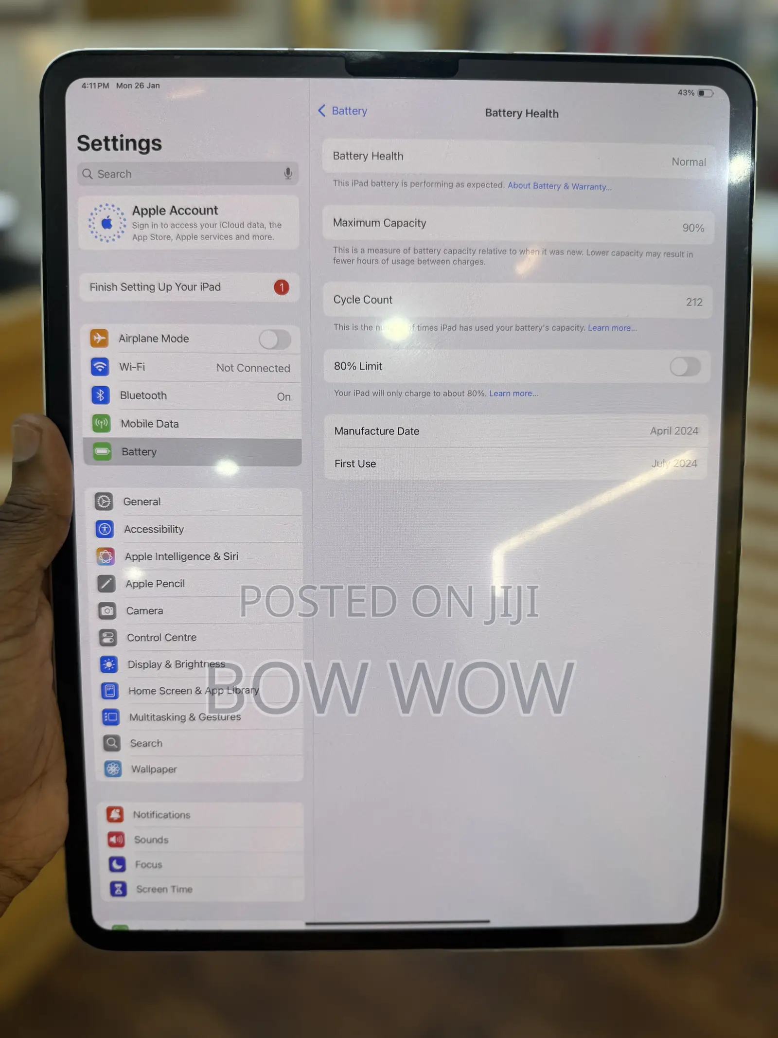 Apple iPad Pro 13 (2024) 256 GB Silver