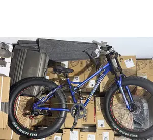 Ebike Conversion