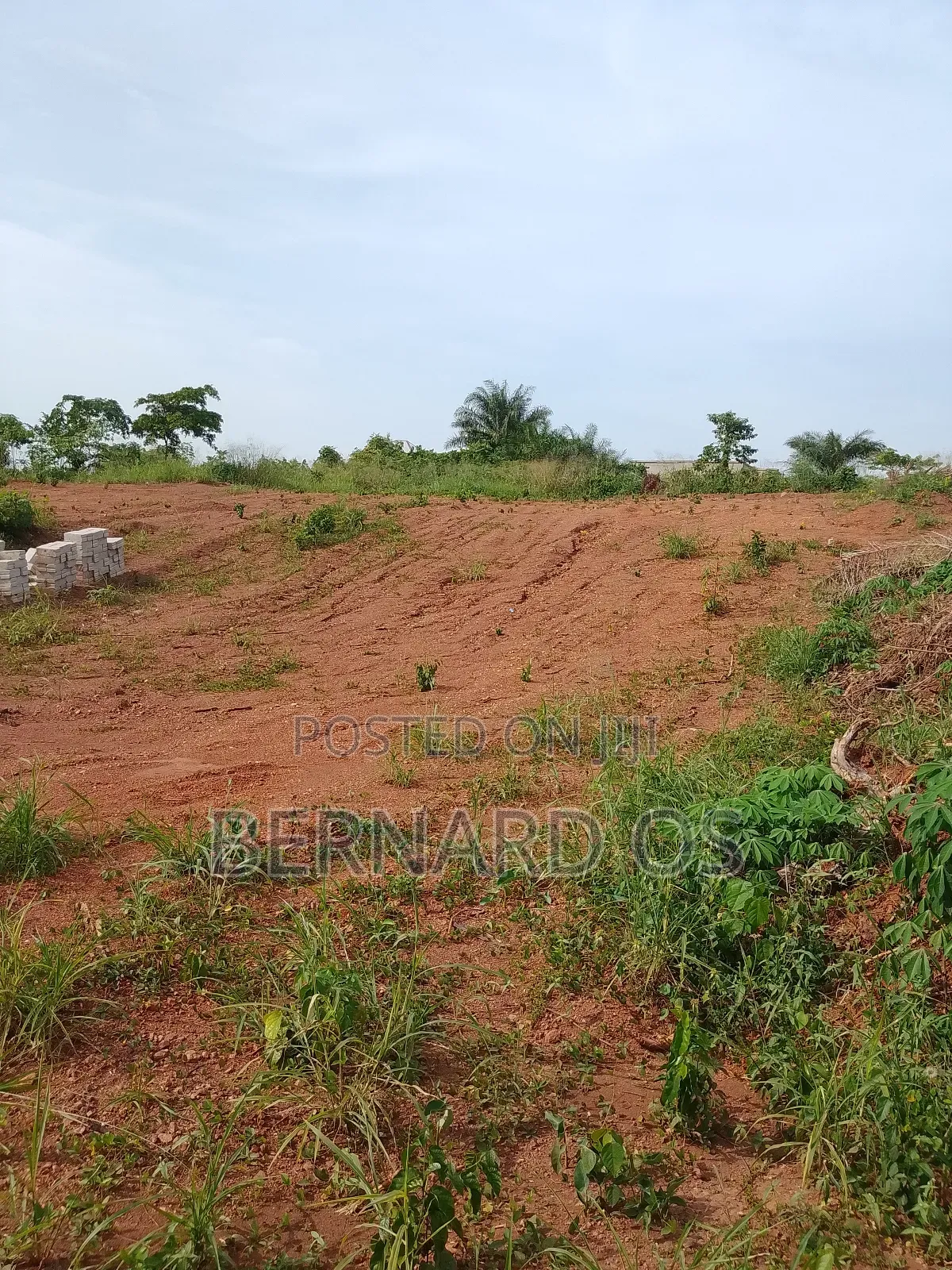 Plots and Lands