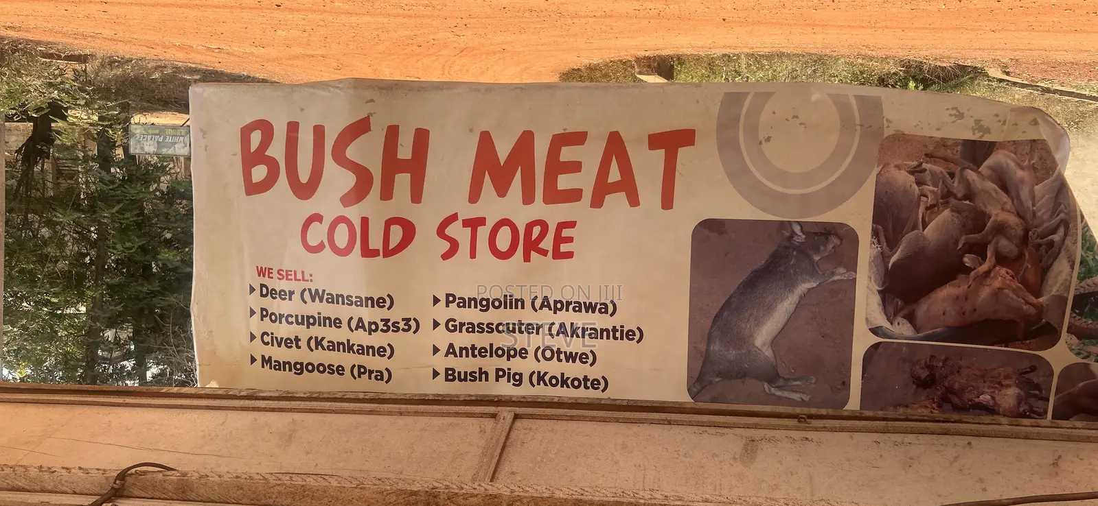 Bushmeat For Sale