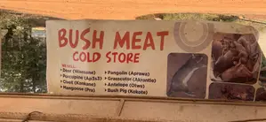 Bushmeat For Sale