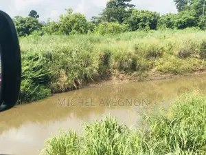 Over 300 Acres of Fully Registered Land Is for Lease
