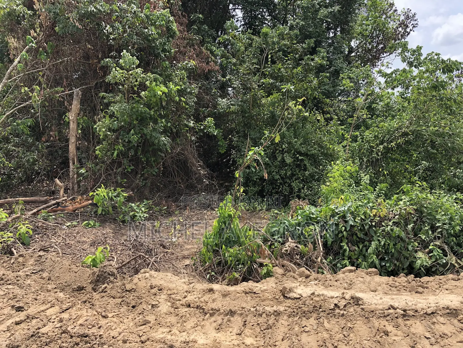 Over 300 Acres of Fully Registered Land Is for Lease