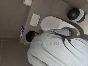 Cleaning Services