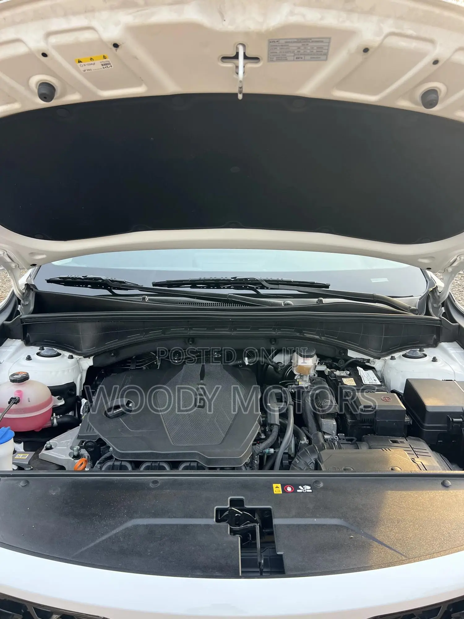 Kia Sorento S 2022 White