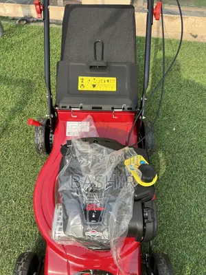 Briggs and Stratton Mower