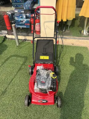 Briggs and Stratton Mower