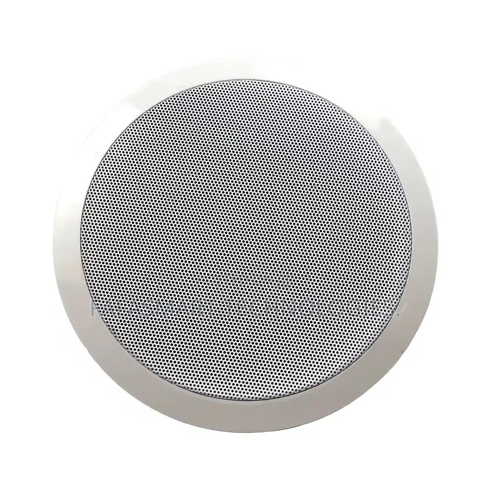 Quality 6-Inch Abs for Bluetooth Ceiling Speaker Pair