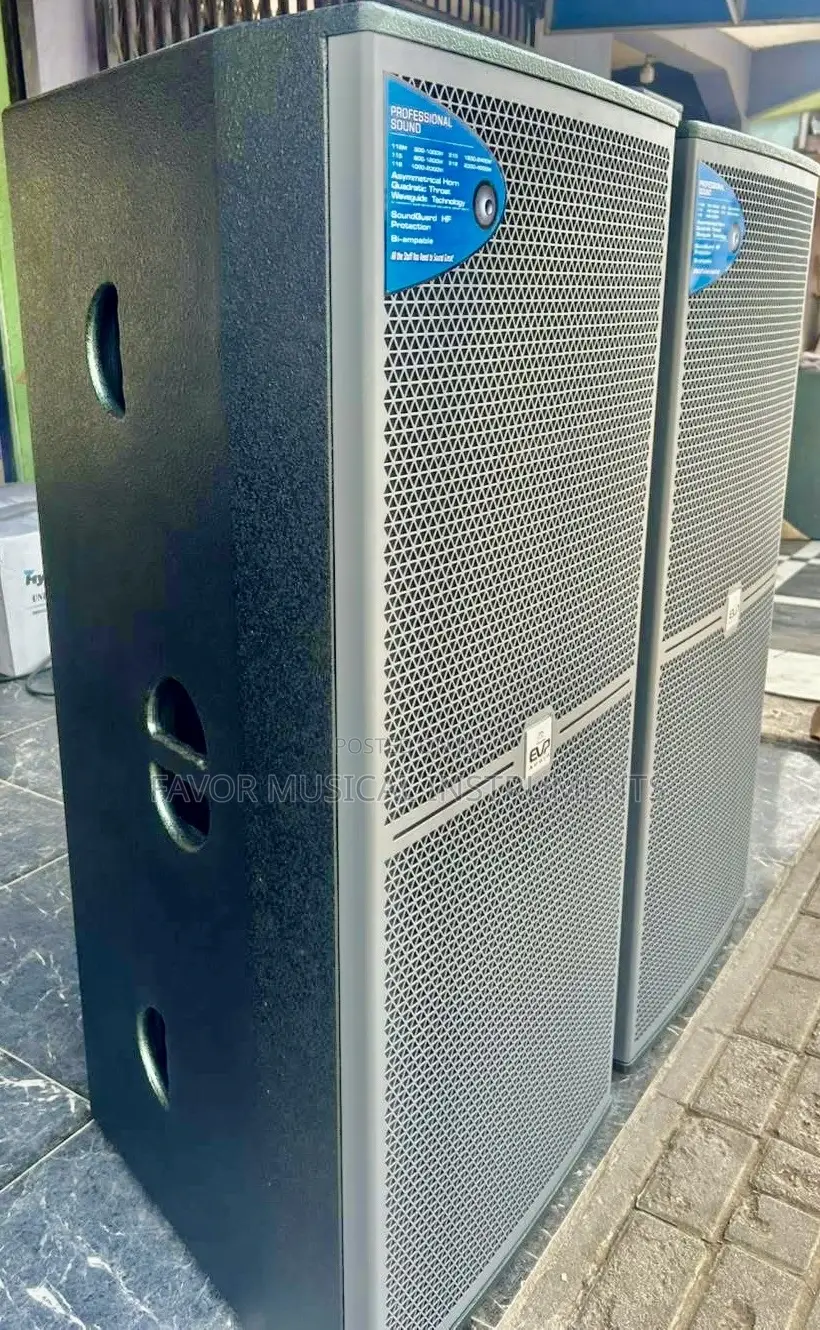 Electronic Voice Phenomenon