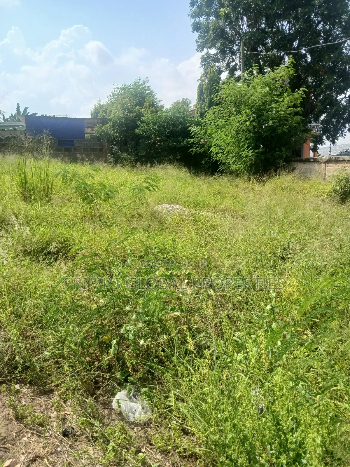 Roadside Title Plot of Land at McCarthy Hills for Sale