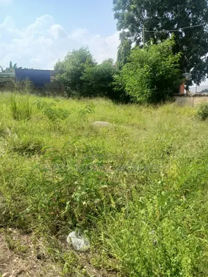 Roadside Title Plot of Land at McCarthy Hills for Sale
