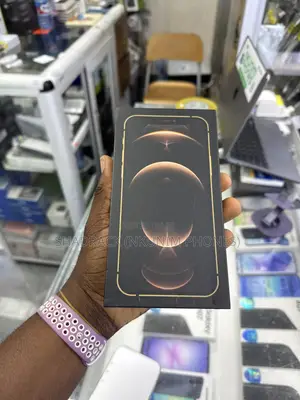 Apple iPhone 12 Pro Max 256 GB Gray