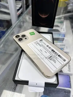 Apple iPhone 12 Pro Max 256 GB Gray