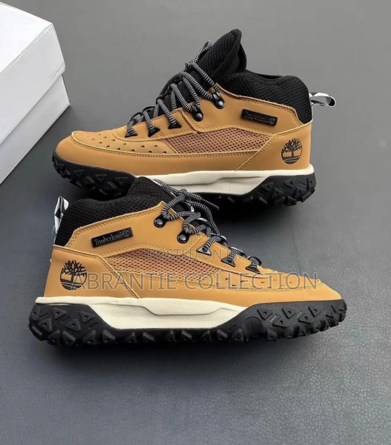 New Timberland Motion 6 Available