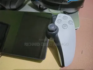 Sony Playstation Portal Remote Player