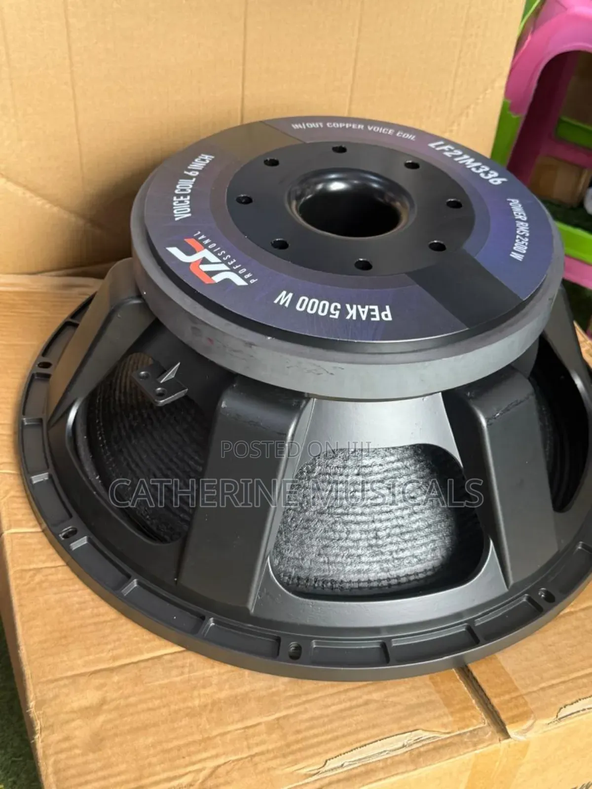 21 Inches 5000watt Jac Naked Speaker