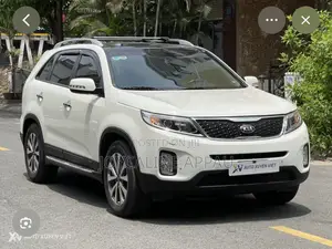 Kia Sorento 2014 to 2015 Fog Light and Cover