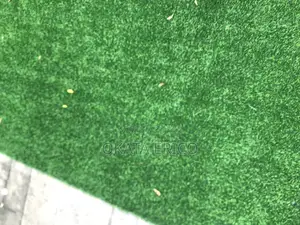 Astroturf (Green Grass )