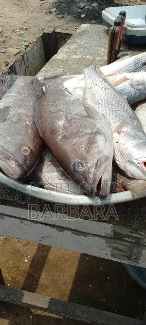 Fresh Seafood and Vegetables