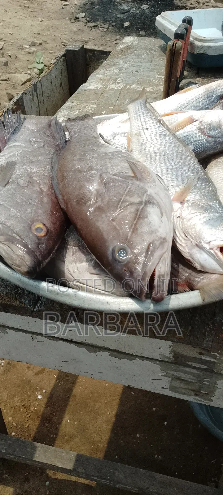 Fresh Seafood and Vegetables