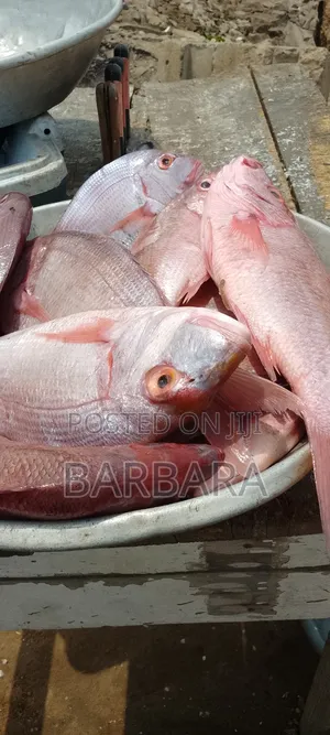 Fresh Seafood and Vegetables