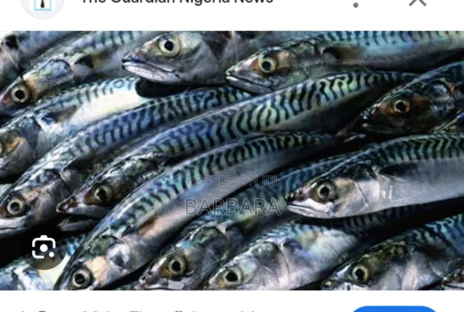 Fresh Seafood and Vegetables