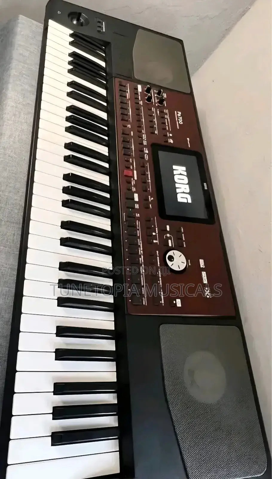 Korg Pa700 Professional Arranger Keyboard.