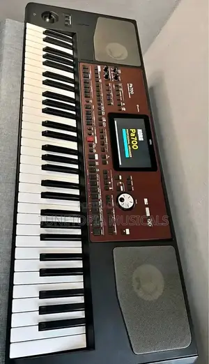 Korg Pa700 Professional Arranger Keyboard.
