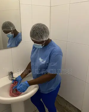 Professional Residential Cleaning