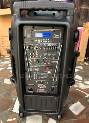 Gls Music Pc12-7a 12-inch Portable Bluetooth Speaker.