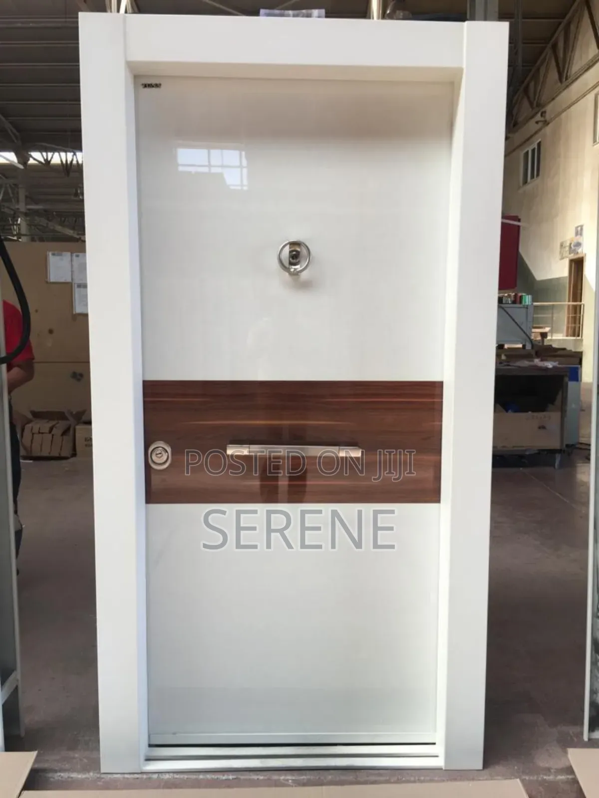 Exclusive Galvanized Designed Metal Door (Exterior) Made Locally