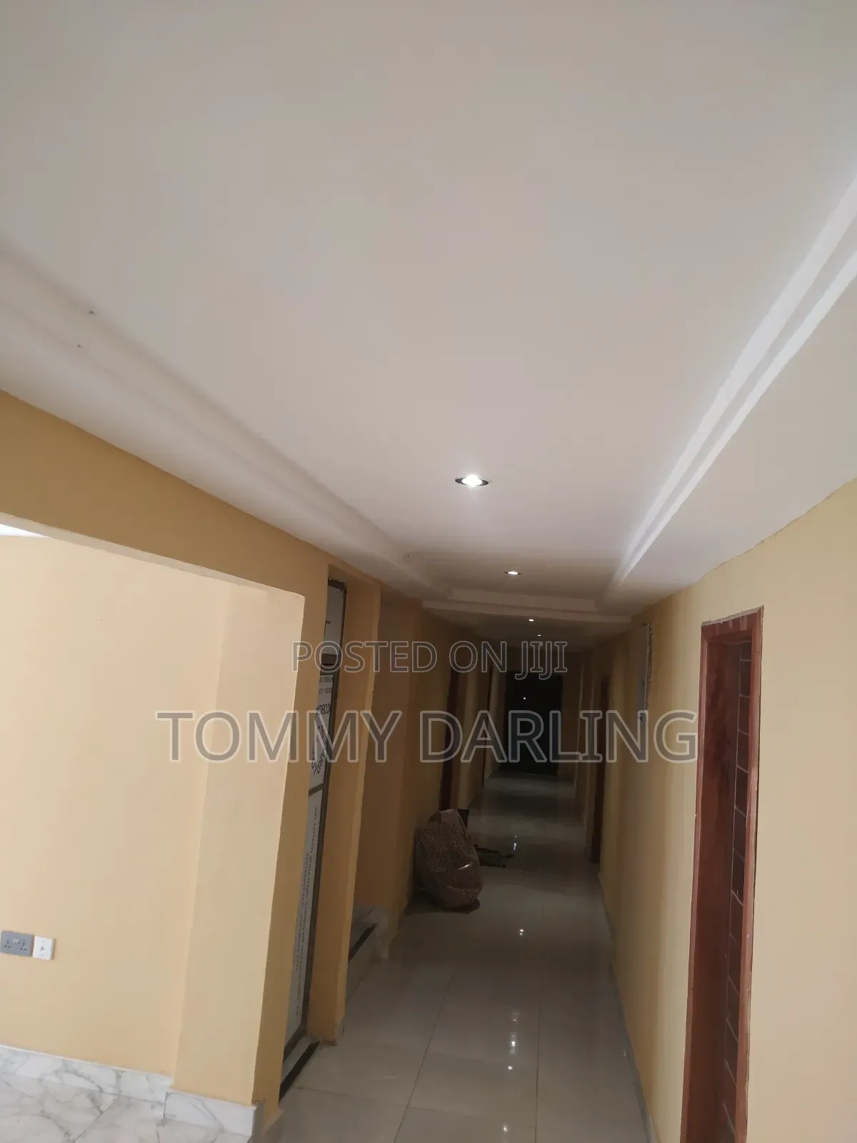 Professional Painter for Interior and Exterior Painting