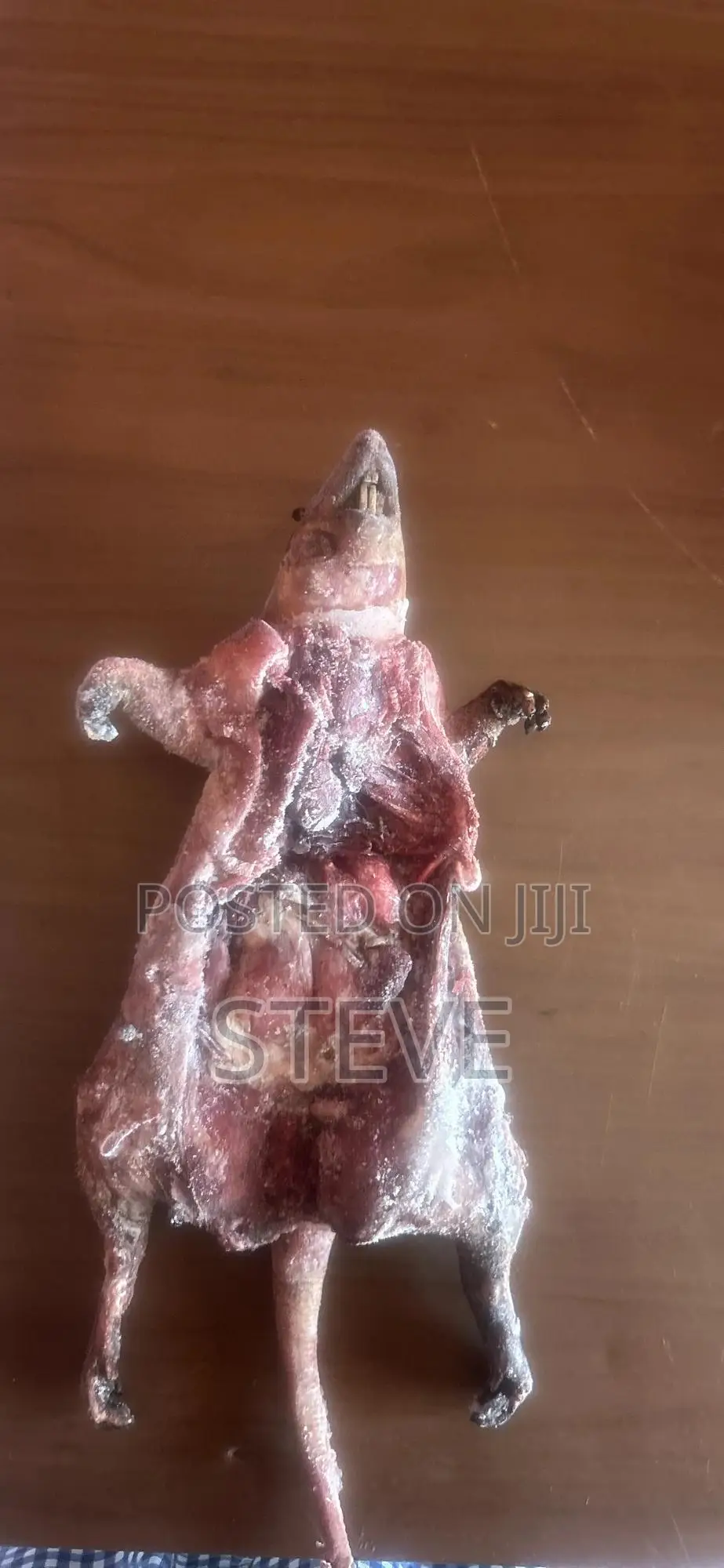 Bushmeat For Sale