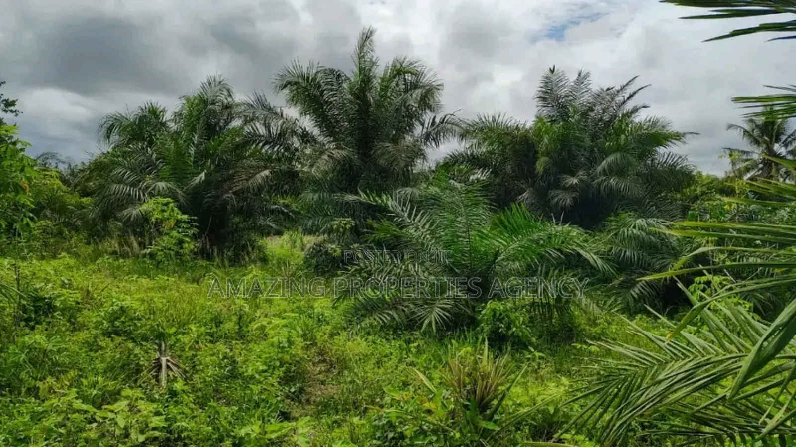 A. 40 Acres Land For Sale*. *Location:Borteyman*