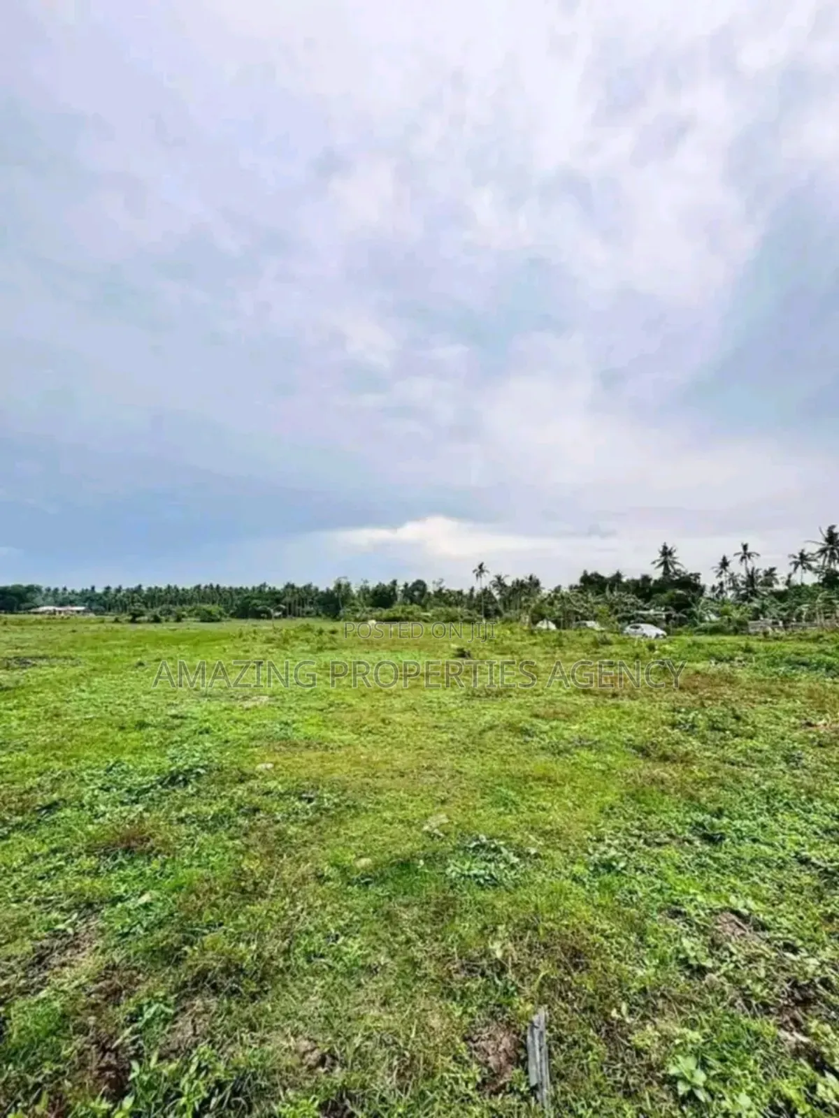 1000 Acres Of Land For Sale At Juapong Akosombo