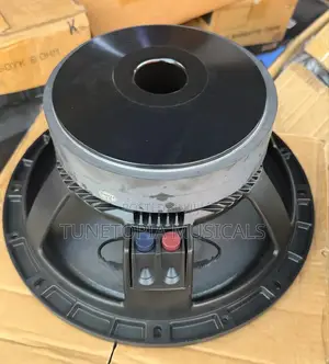 Jac Professional Lf12g301d 12-inch Double Magnet Naked Speaker (1pair)