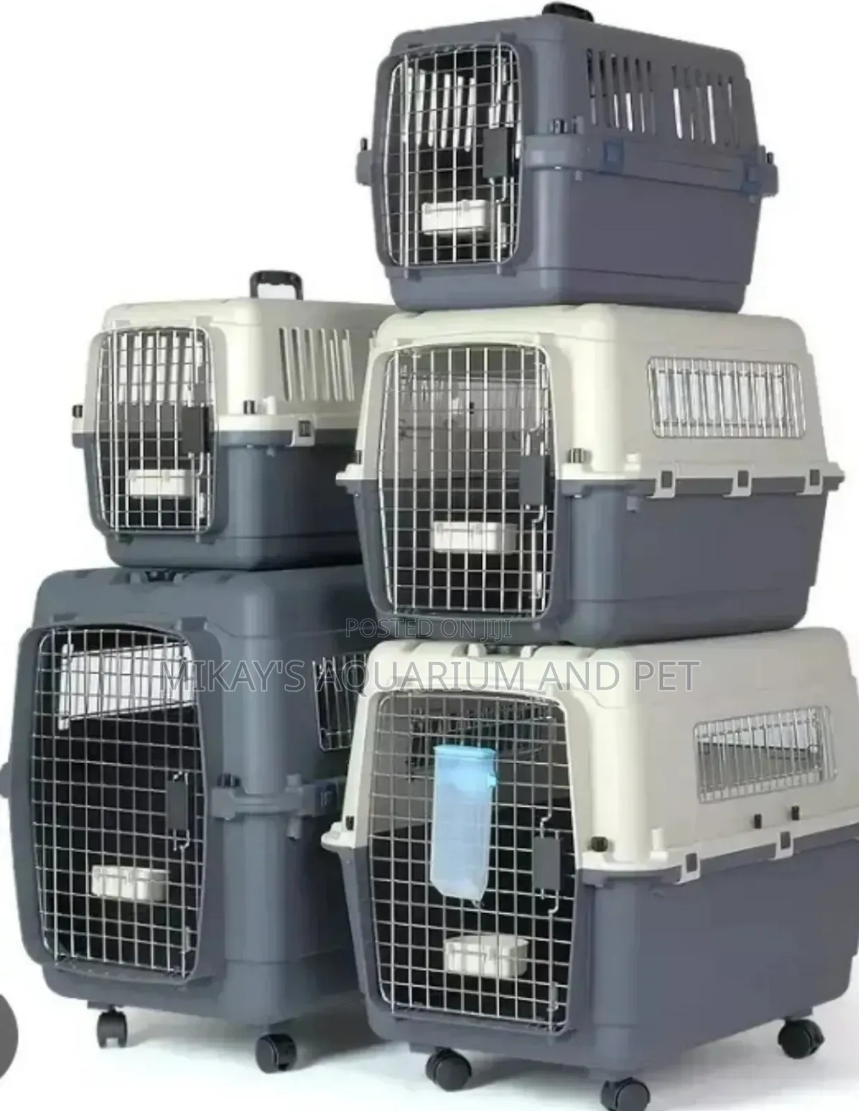 Dog Plastic Crate (Large)