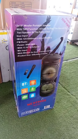 Westpool Hi-Fi Bass Speaker With Mic Input