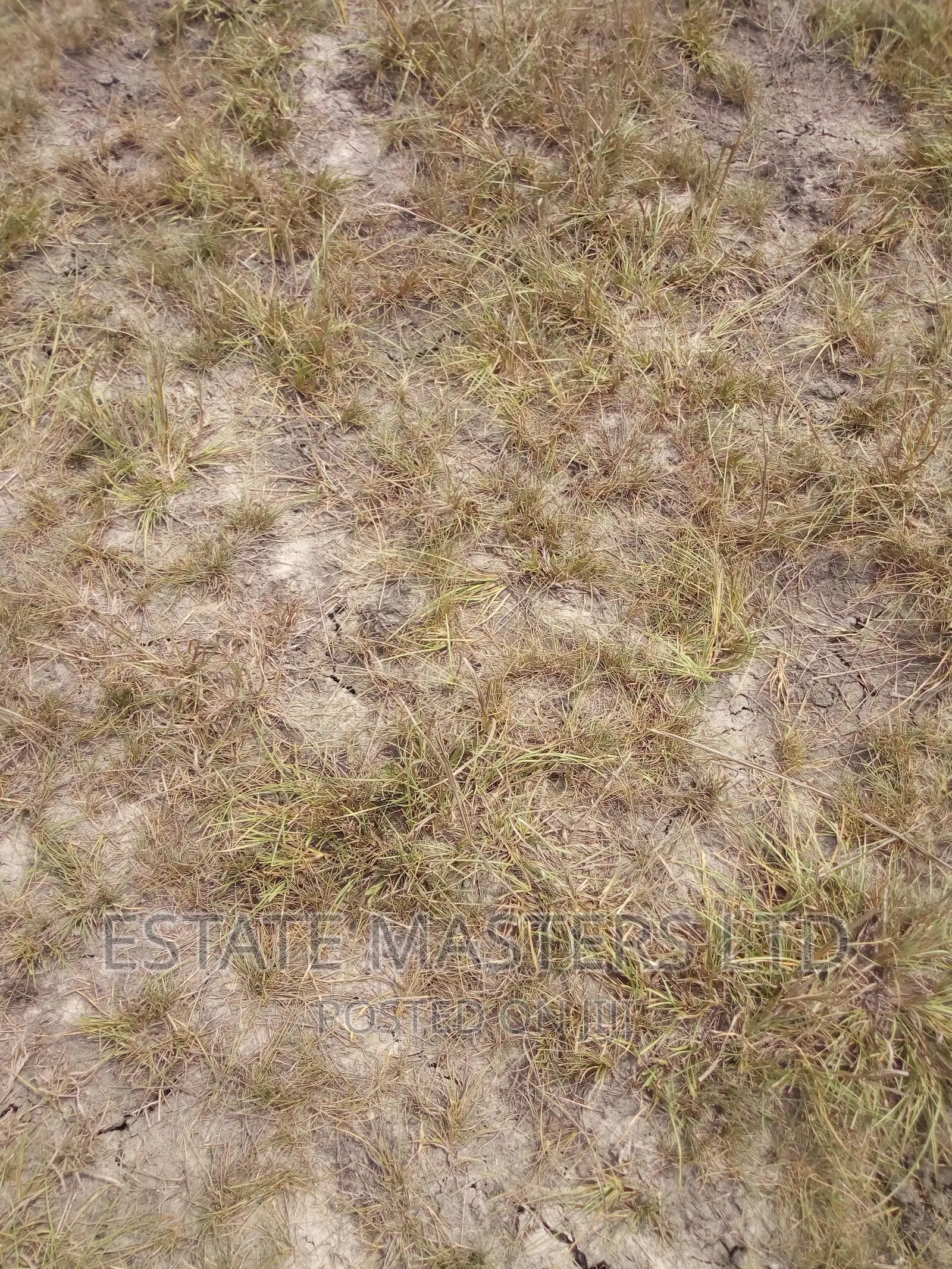 Serviced Area Plots