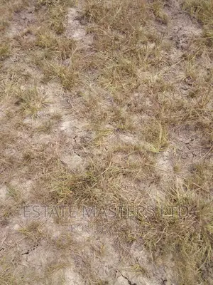 Serviced Area Plots