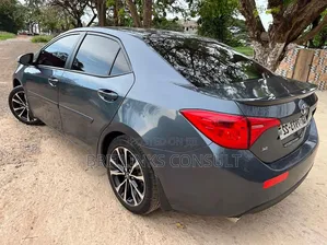 Available Salon Cars for Rentals Toyota Corolla!