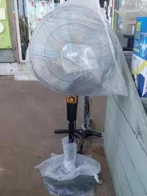Standing Fans