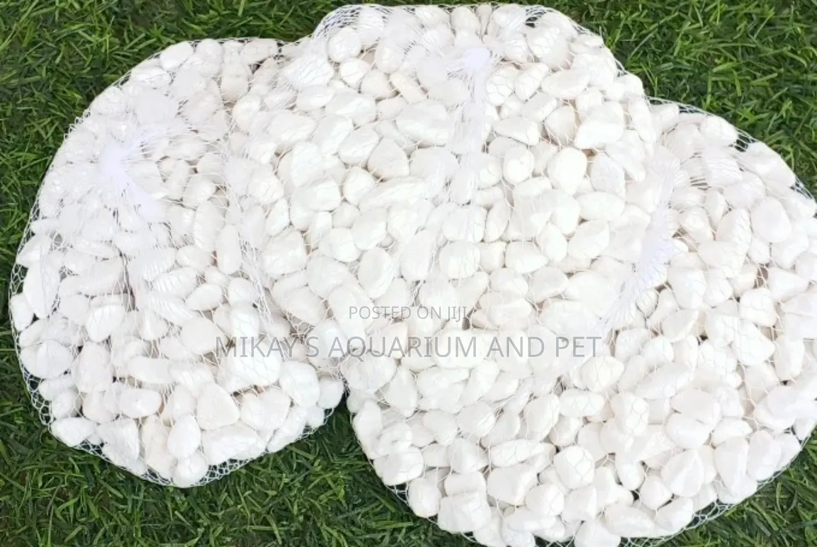 White Stones for Aquarium Decor