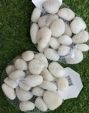Bigger White Stones