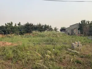 Genuine Land at Oyibi Bawaleshie for Sale