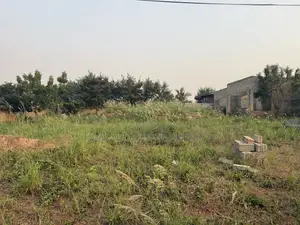Genuine Land at Oyibi Bawaleshie for Sale