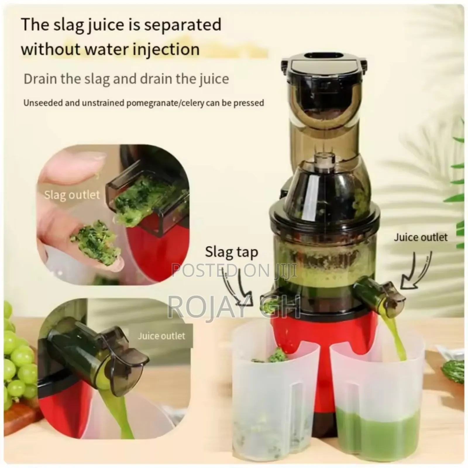 Slow Multifunctional Juicer