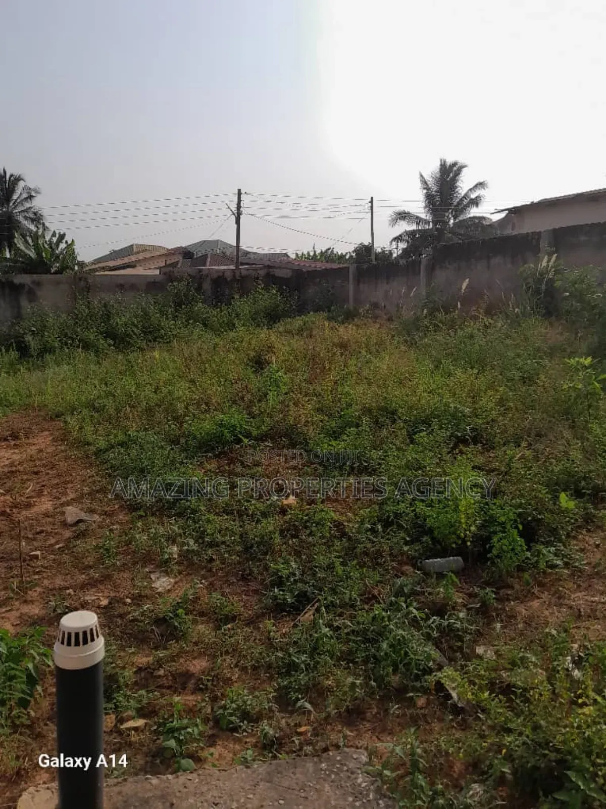 40acres of Land at Trassaco Valley (Borteyman